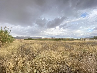 La Jimena -Casa Tosquilla 8