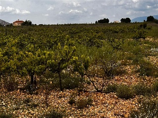 Casa De La Gloria, Parcela 141, Poligono 11 10