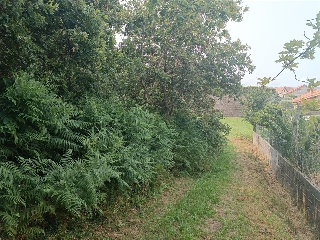 Camiño De San Xurxo 14
