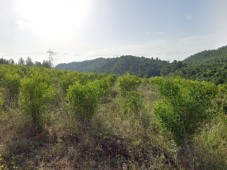 Xativa 6
