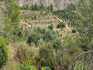 Xativa 9