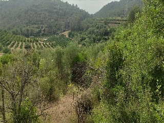 Xativa 11