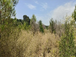 Xativa 20