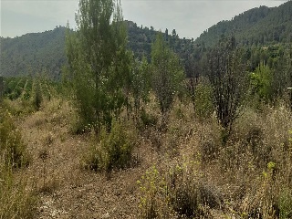 Xativa 27