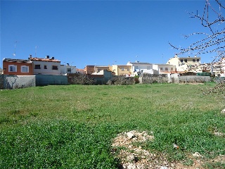 PALOMA 10