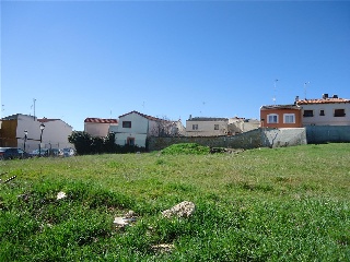 PALOMA 11