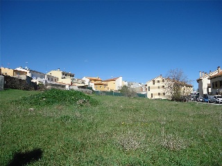 PALOMA 13