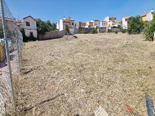 PALOMA 14