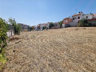 PALOMA 17