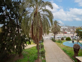 Piso en Ps de la Alameda - Linares - Jaén 25