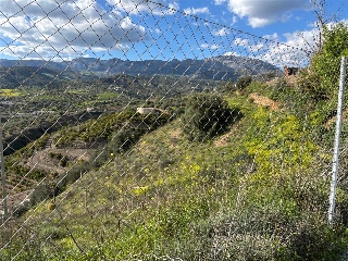 Majiaza 10