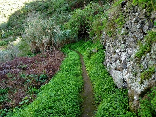 Calle Cuesta Falcon 3