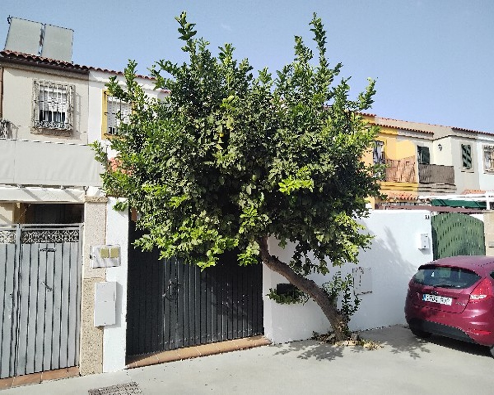 Torre Del Tajo