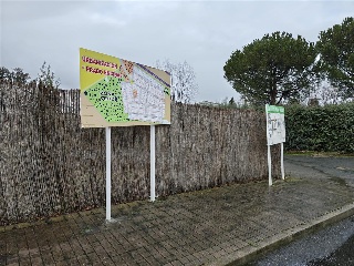 Estrellas 3