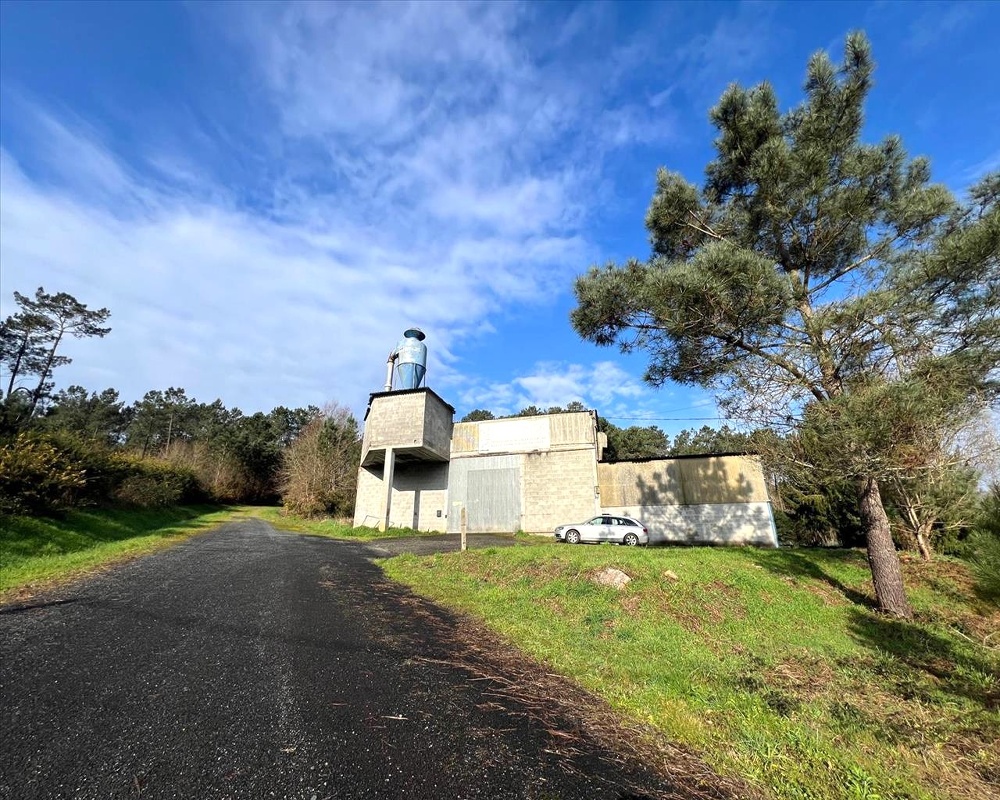 Bendaña