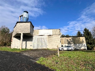 Bendaña 2