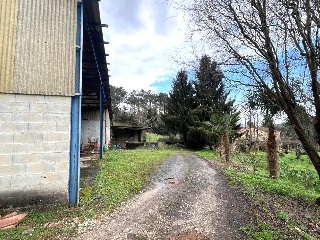 Bendaña 10
