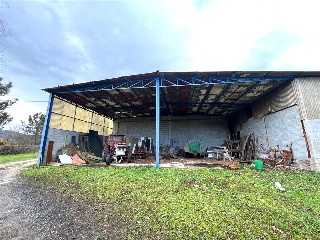 Bendaña 11