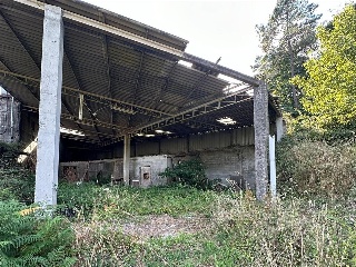 Bendaña 12