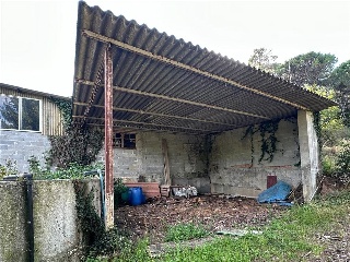 Bendaña 13