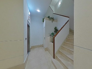 del CARMEN 29