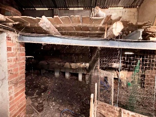FUENTE 23