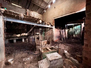 FUENTE 25