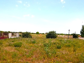 NAVA BALBONO 9