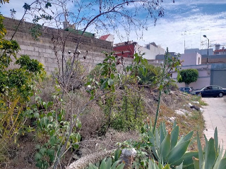 Ecuador 4