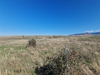 Juarrillos Norte UZD-R-05-S 5
