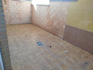 DE LOS CAÑOS 15
