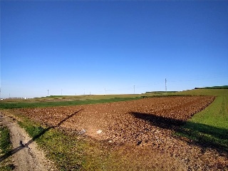 Las Cabezas 5