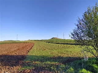 Las Cabezas 7