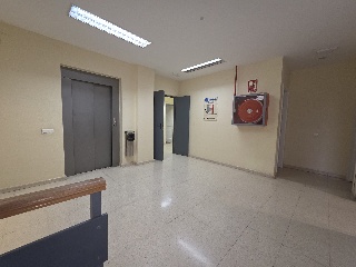 Venegas 5