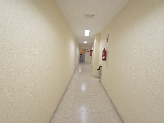Venegas 6