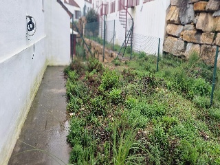 Doña Julia 30