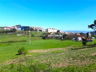 PORTIÑO. Polígono 5
