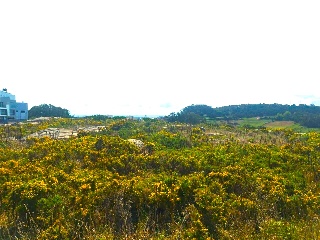 PORTIÑO. Polígono 10