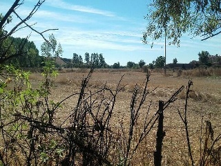 5, PARCELA 7