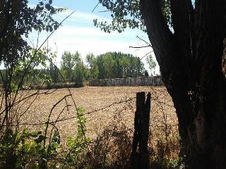 5, PARCELA 8