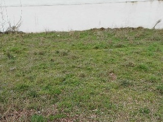 DE VENTAS-OESTE - PGOU DE LEON 8