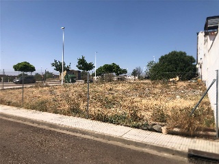Camino Viejo de Mirandilla 6