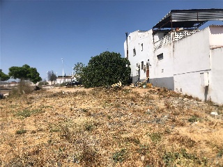 Camino Viejo de Mirandilla 7