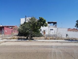 Camino Viejo de Mirandilla 10