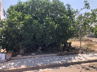 Camino Viejo de Mirandilla 13