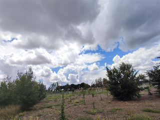 Segovia 2