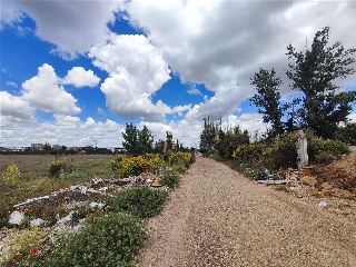 Segovia 3