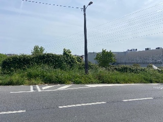 LAMAS DE PRADO 9