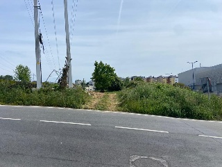 LAMAS DE PRADO 10