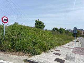LAMAS DE PRADO 12